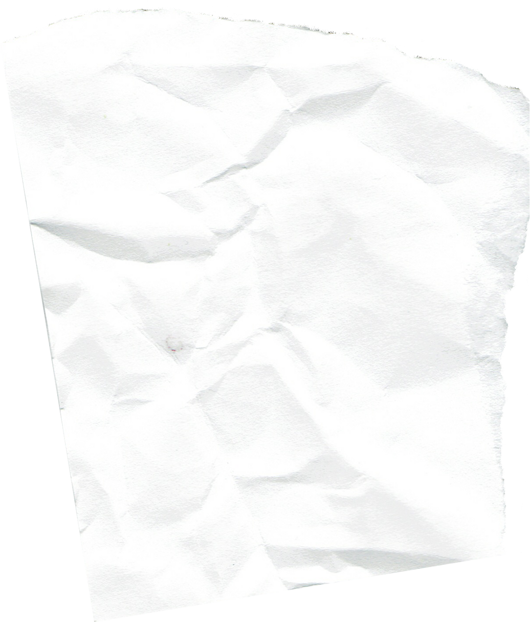 White Paper